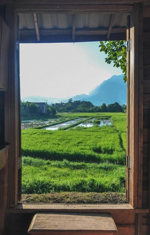 467 Chiang Dao Hostel Εξωτερικό φωτογραφία